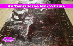 Ev Temizliği ve Halı Yıkama